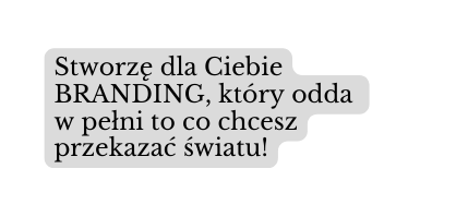 Stworzę dla Ciebie BRANDING który odda w pełni to co chcesz przekazać światu